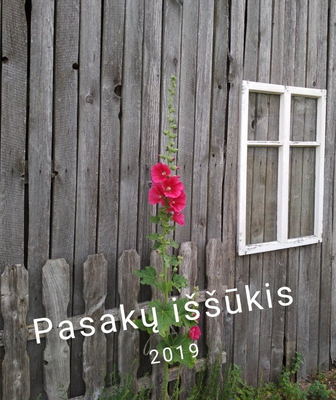 PASAKŲ IŠŠŪKIS 2019 