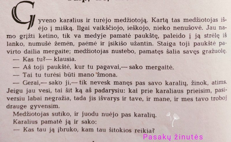 Rudens dovana - pasakų žinutės kiekvieną savaitę  - Jums