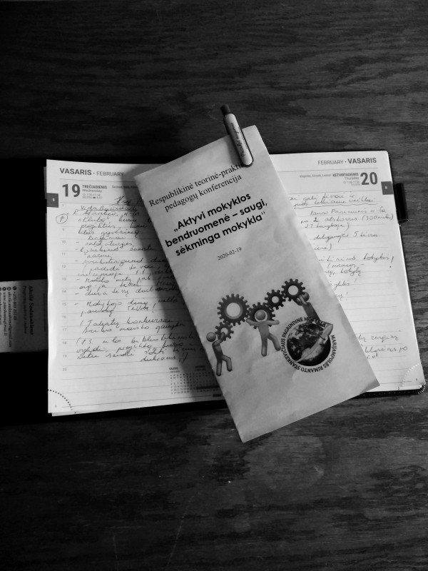 Apie mamų desantą valgykloje ir artistų talento paieškas savyje savo vaikų mokykloje respublikinėje konferencijoje „Aktyvi mokyklos bendruomenė – saugi, sėkminga mokykla“ Marijampolėje